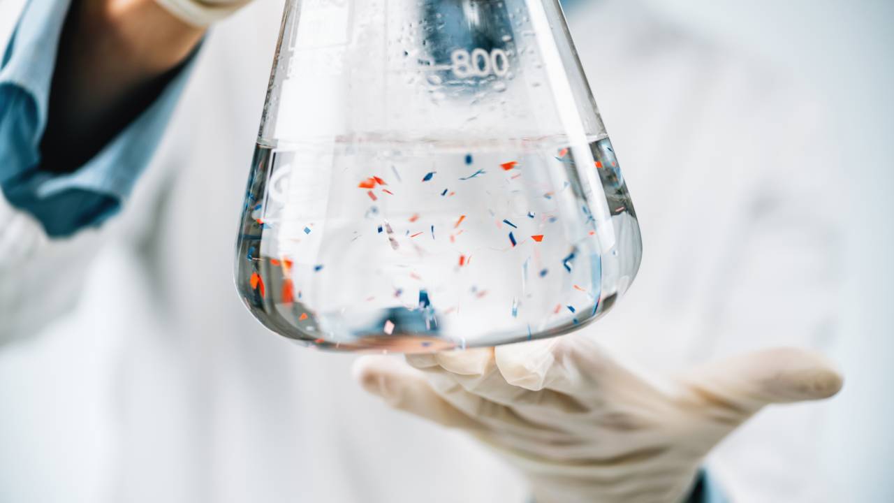 MICROPLÁSTICOS - Ciência: pesquisadores brasileiros procuram solução para a contaminação